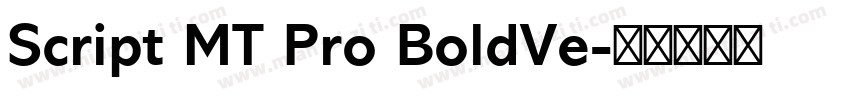 Script MT Pro BoldVe字体转换